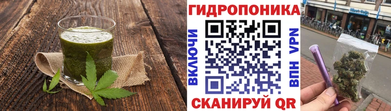 Canna-Cookies конопля  купить наркоту  Бакал 