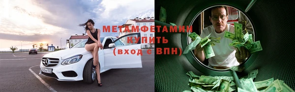 прущие грибы Осташков