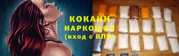 прущие грибы Осташков