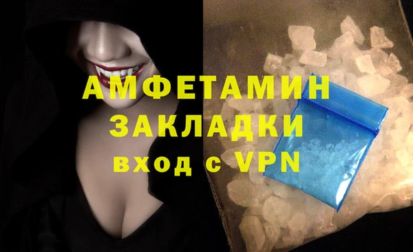 прущие грибы Осташков
