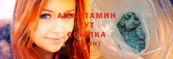 прущие грибы Осташков