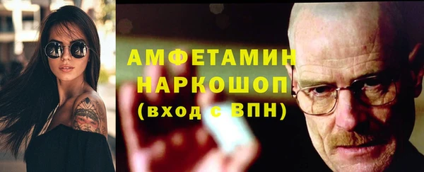 прущие грибы Осташков