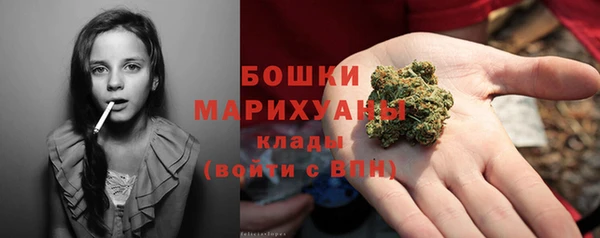 прущие грибы Осташков