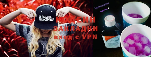прущие грибы Осташков